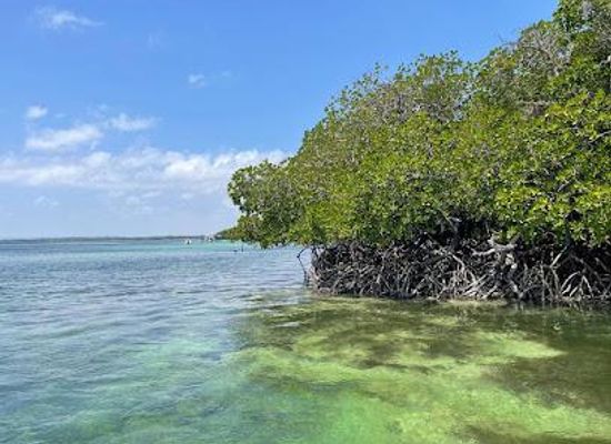 kenya/malindi/attraction/watamu-marine-national-park-reserve