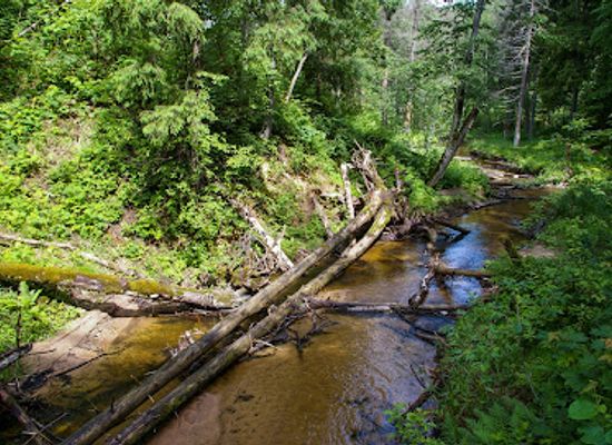 latvia/sigulda/attraction/tris-tilti-pie-vecajam-dzirnavam
