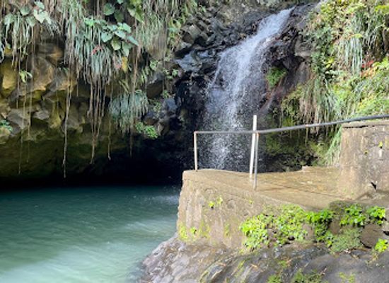 saint-vincent-and-the-grenadines/tobago-cays-marine-park/attraction/annandale-waterfall-forest-park