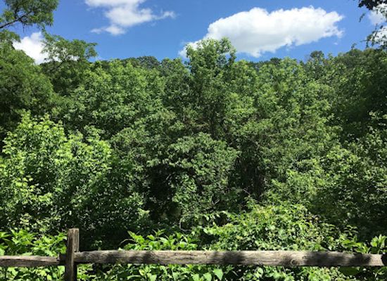 pennsylvania/delaware-valley/attraction/black-rock-sanctuary