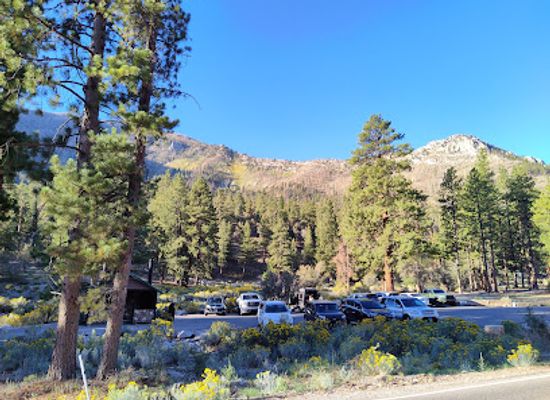 nevada/mount-charleston/attraction/fletcher-canyon-trailhead
