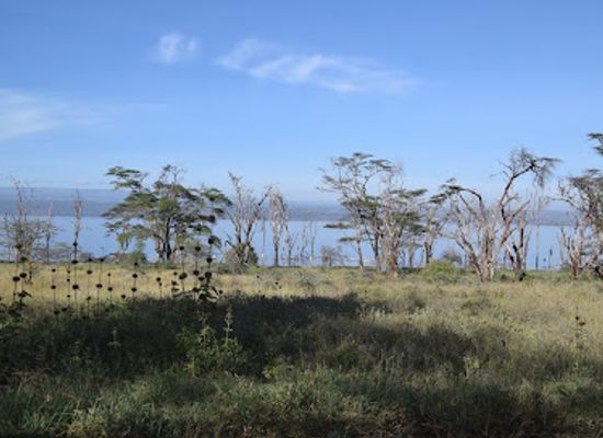 kenya/nakuru/attraction/lake-nakuru-lanet-gate