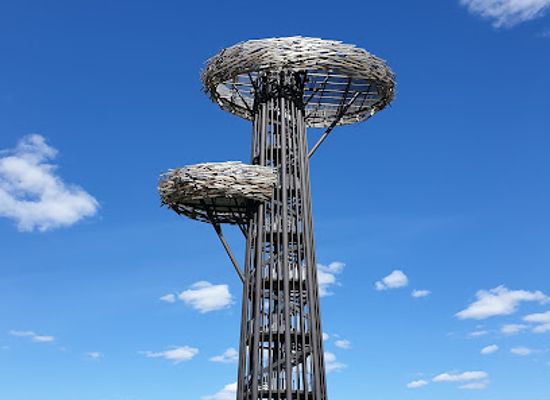 estonia/vorumaa/attraction/rouge-watchtower-pesapuu