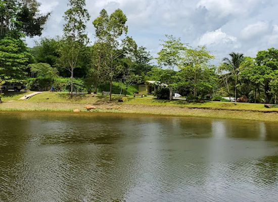 trinidad-and-tobago/st-patrick/attraction/la-vega-estate