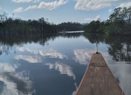 philippines/siargao/attraction/dumoyog-board-walk