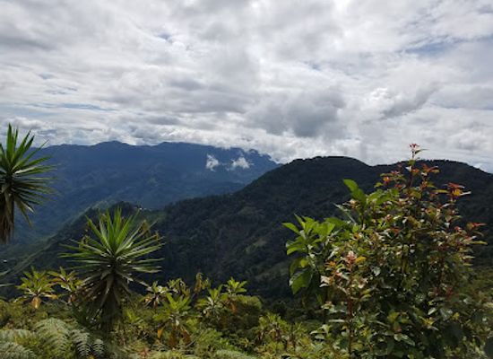 honduras/sula-valley/attraction/parque-nacional-cusuco