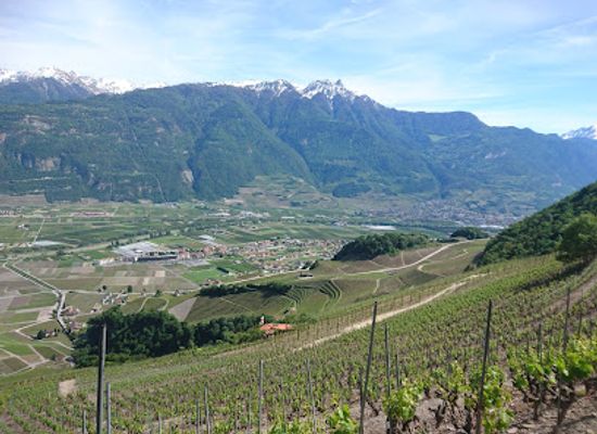 switzerland/verbier/attraction/la-passerelle-a-farinet