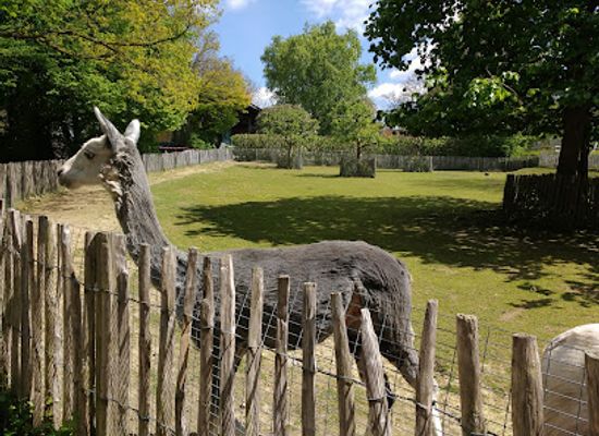 germany/aachen/attraction/drimborner-waldchen