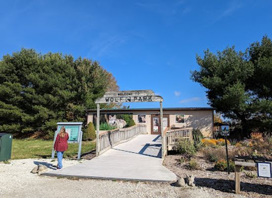 indiana/lafayette/attraction/wolf-park