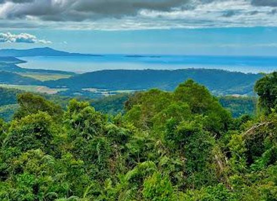 australia/daintree-rainforest/attraction/mossman-mount-molloy-road-lookout-transmission-line