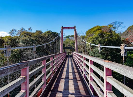 japan/osumi/attraction/tsubaki-park