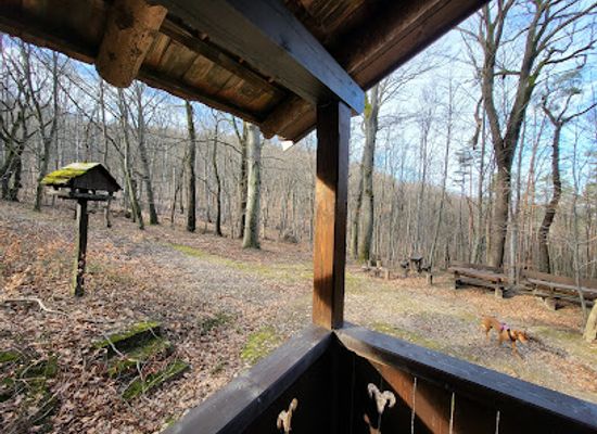 hungary/pilis-mountains/attraction/muflon-kunyho