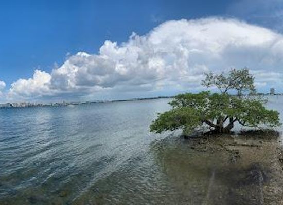 florida/st-petersburg-beach/attraction/city-island