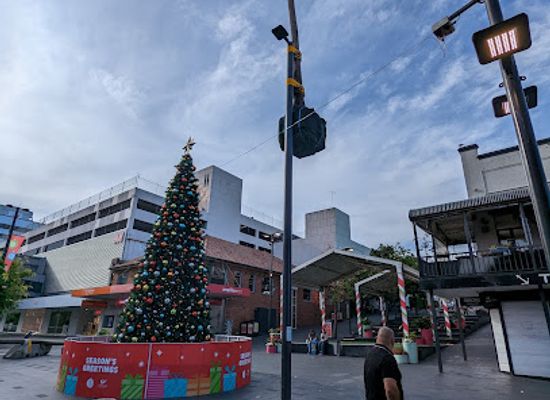 australia/illawarra/attraction/palm-tree-up-a-pole-wollongong