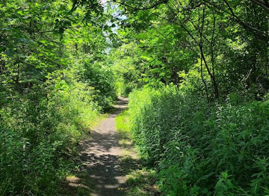 vermont/washington-county/attraction/rail-trail
