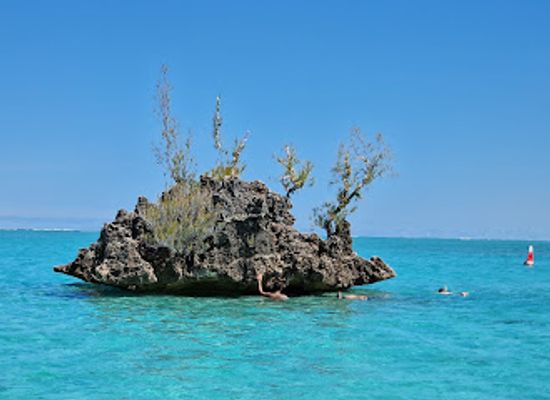 mauritius/flic-en-flac-beach/attraction/santana-dolphin-fishing-charter-mauritius