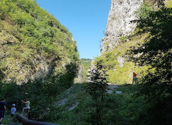 romania/gorj/attraction/pestera-garla-vacii