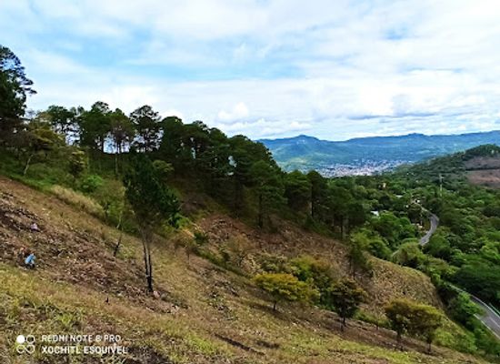 nicaragua/matagalpa-coffee-region/attraction/finca-awas-tagni