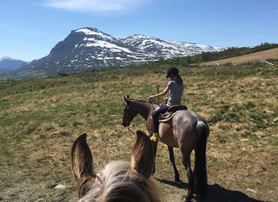 norway/hemsedal/attraction/haugen-gard
