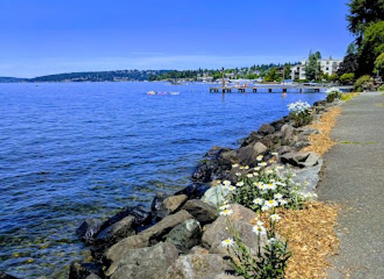 washington/kirkland/attraction/marsh-park