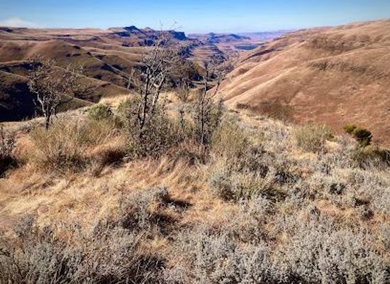 south-africa/drakensberg/attraction/major-adventures-sani-pass-day-trips