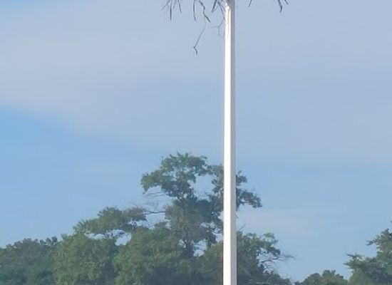 maryland/sandy-point-state-park/attraction/sandy-point-state-park-youth-group-camp-ground