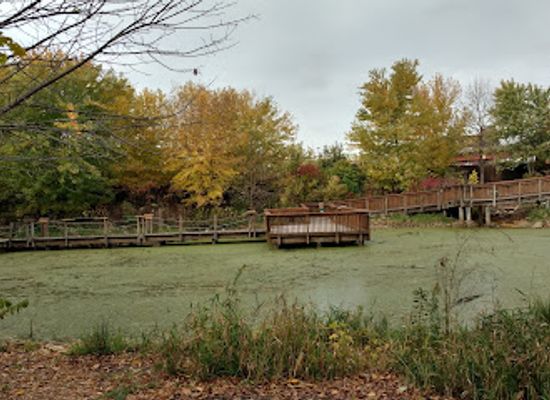 wisconsin/driftless-area/attraction/national-mississippi-river-museum-aquarium