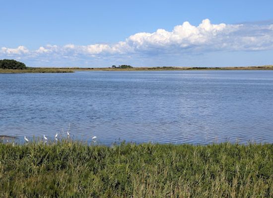 delaware/delaware-seashore-state-park/attraction/gordon-pond-wildlife-area