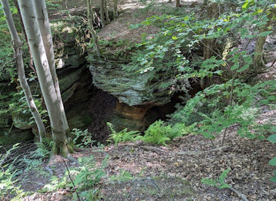 ohio/western-reserve/attraction/welton-s-gorge-preserve