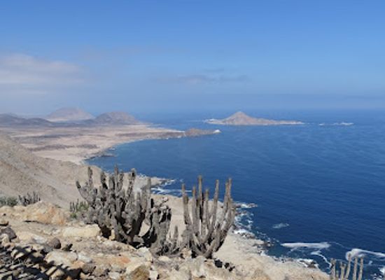 chile/norte-grande/attraction/parque-nacional-pan-de-azucar