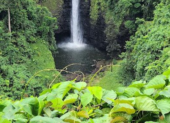 samoa/lalomanu/attraction/sopo-aga-falls-viewpoint