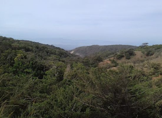 costa-rica/monteverde/attraction/nasua-tours-monteverde