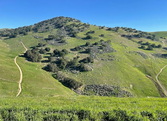 california/livermore/attraction/brushy-peak-regional-preserve