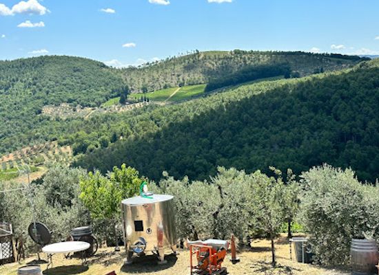 italy/chianti-classico/attraction/altiero-azienda-agricola