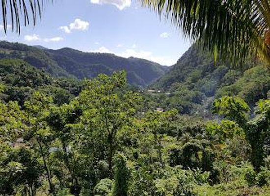 dominica/la-plaine/attraction/wotten-waven