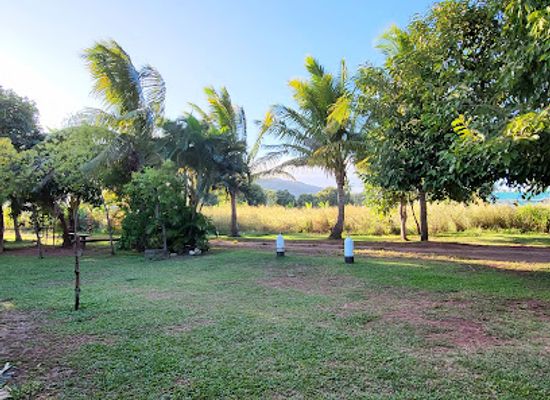 fiji/viti-levu/attraction/ring-gold-divers