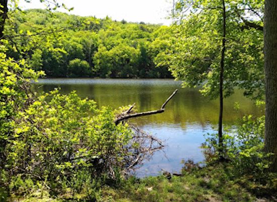 connecticut/connecticut-river-valley/attraction/sunrise-state-park