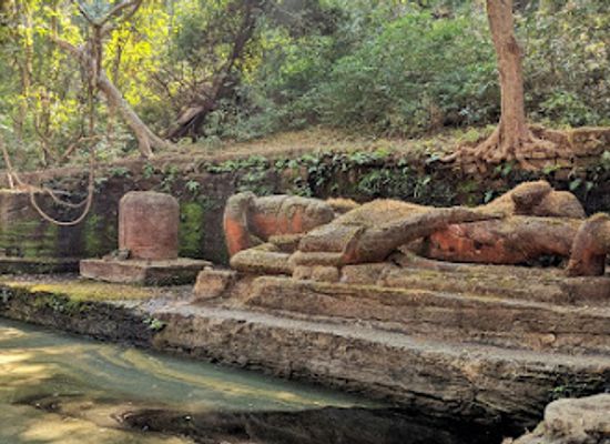 india/central-india/attraction/bandhavgarh-fort