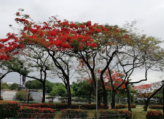 philippines/manila/malate/attraction/national-museum-of-fine-arts