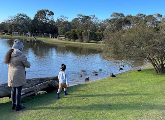 australia/yarra-valley/attraction/moonlit-sanctuary-wildlife-conservation-park