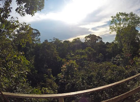 colombia/orinoquia/attraction/reserva-natural-omagua