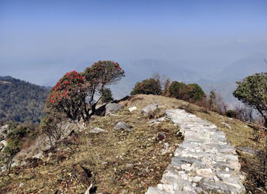 india/uttarakhand/attraction/jhandi-top