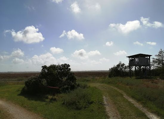 denmark/thy-national-park/attraction/alvand-klithede-fugletarn