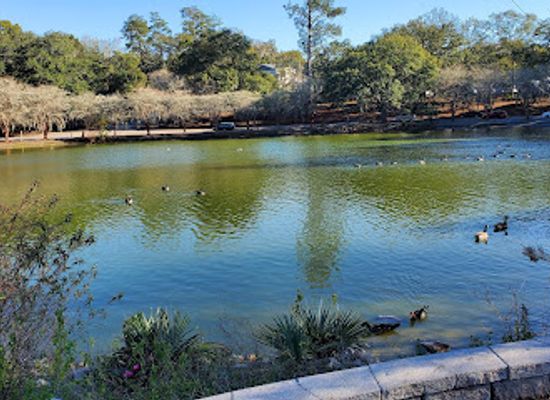 florida/tallahassee/attraction/lake-ella-park