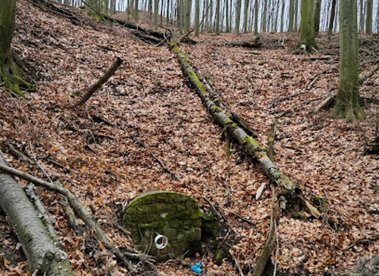hungary/matra-mountains/attraction/szalamandra-forras