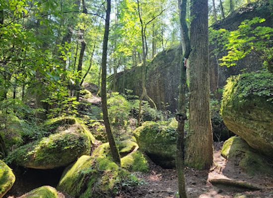 alabama/piney-woods/attraction/dismals-canyon