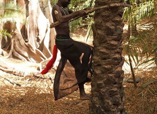 senegal/cap-skirring/attraction/musee-kadioute