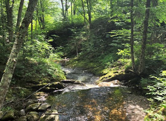 vermont/lamoille-county/attraction/sterling-gorge-falls-parking-trailhead