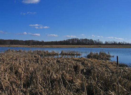 poland/zegrze-reservoir/attraction/rezerwat-wieliszewskie-legi