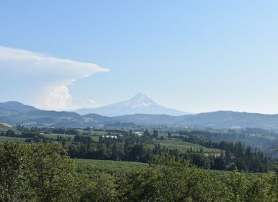 oregon/hood-river-county/attraction/panorama-point-county-park